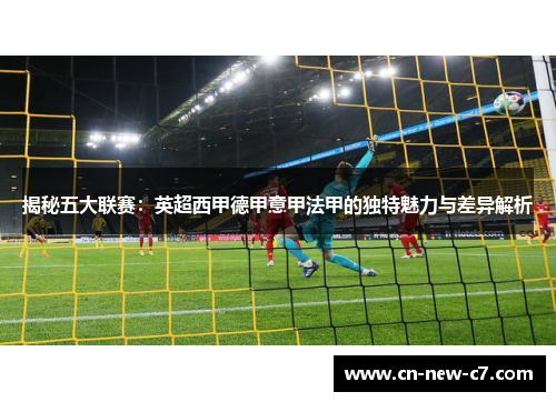 揭秘五大联赛：英超西甲德甲意甲法甲的独特魅力与差异解析