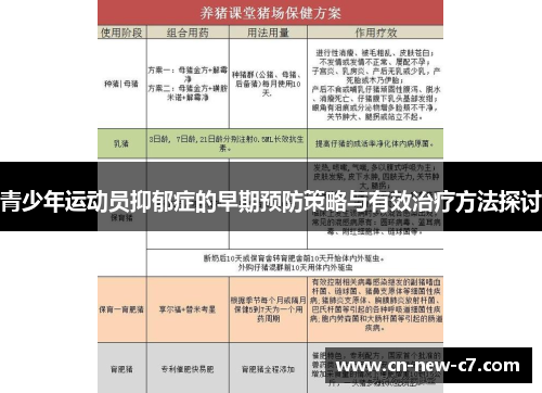 青少年运动员抑郁症的早期预防策略与有效治疗方法探讨