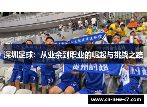 深圳足球：从业余到职业的崛起与挑战之路